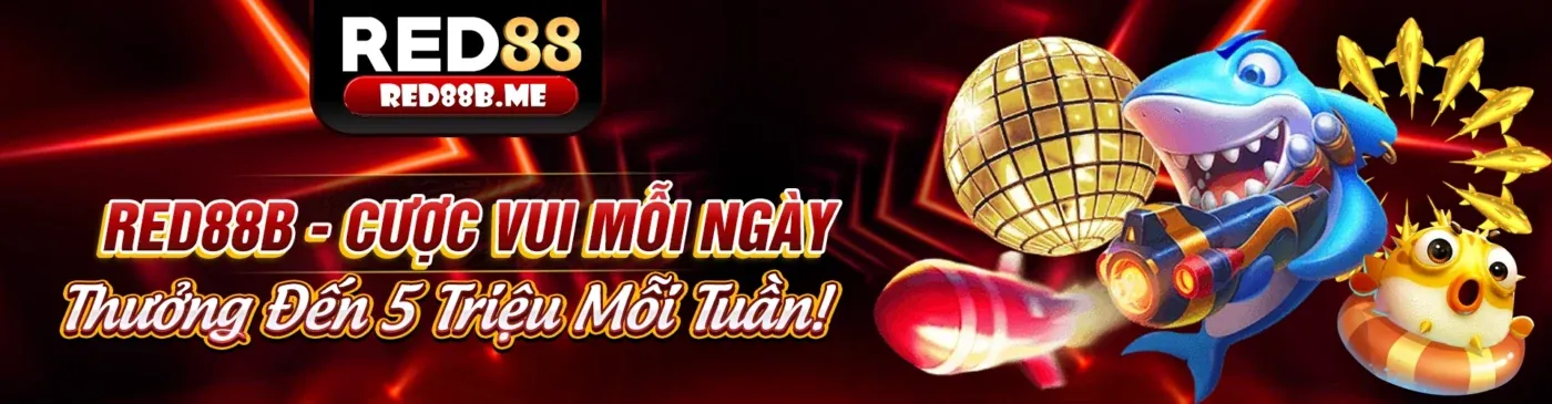 Sân vận động tràn ngập ánh sáng với logo 11win bet
